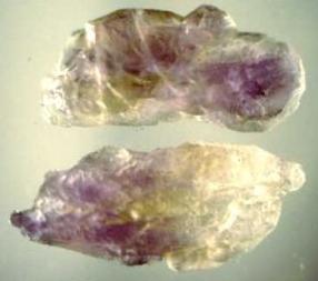 Ametrine Crystals, Anahi Mine, Bolivia