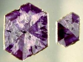 Port Arthur Amethyst, India